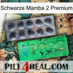 Black Mamba 2 Premium new04